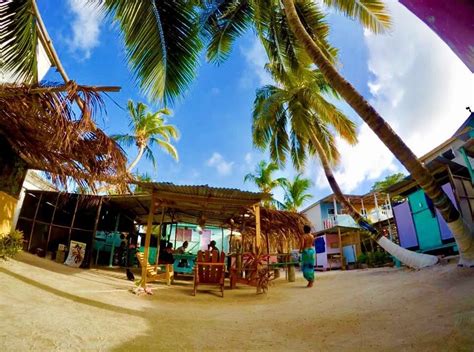 hostels in caye caulker|Tropical Oasis, Caye Caulker .